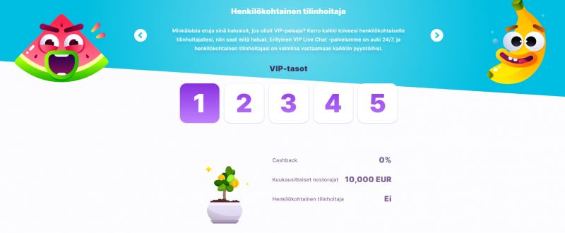 nomini casino vip ohjelma